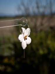 Boucles d'oreilles fleur blanche - Miladora Créations